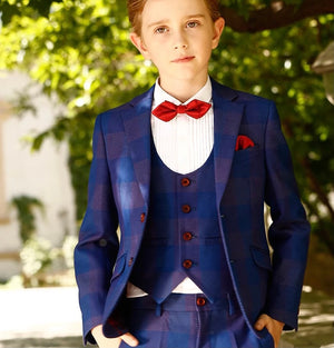 Navy Blue & Burgundy Classic Fit Suit